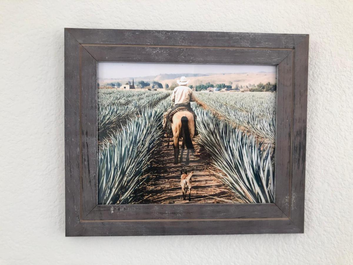 피닉스 The Agave Cowboy 빌라 외부 사진